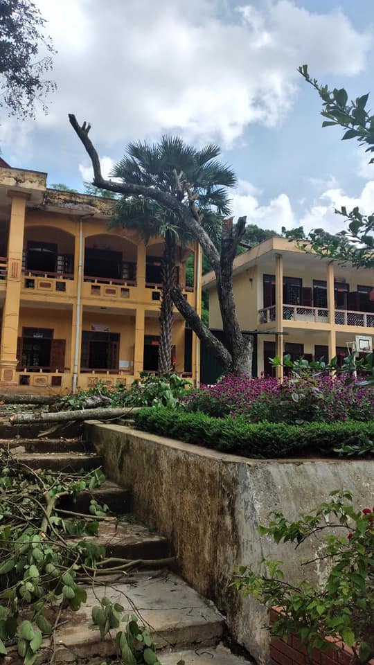 Công tác phòng chống thiên tai, dịch bệnh